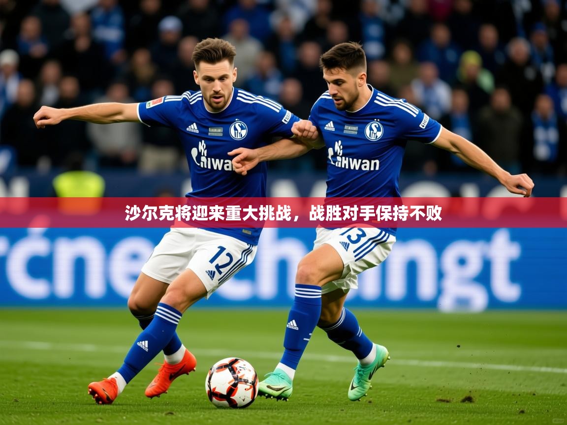2025开云体育app官网下载地址沙尔克将迎来重大挑战，战胜对手保持不败