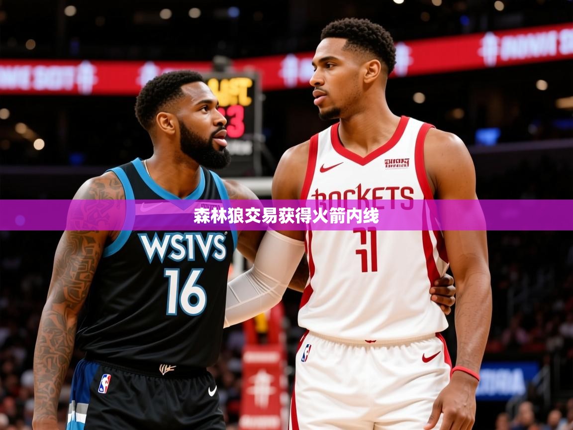 2025开云体育入口手机版森林狼交易获得火箭内线 第4张