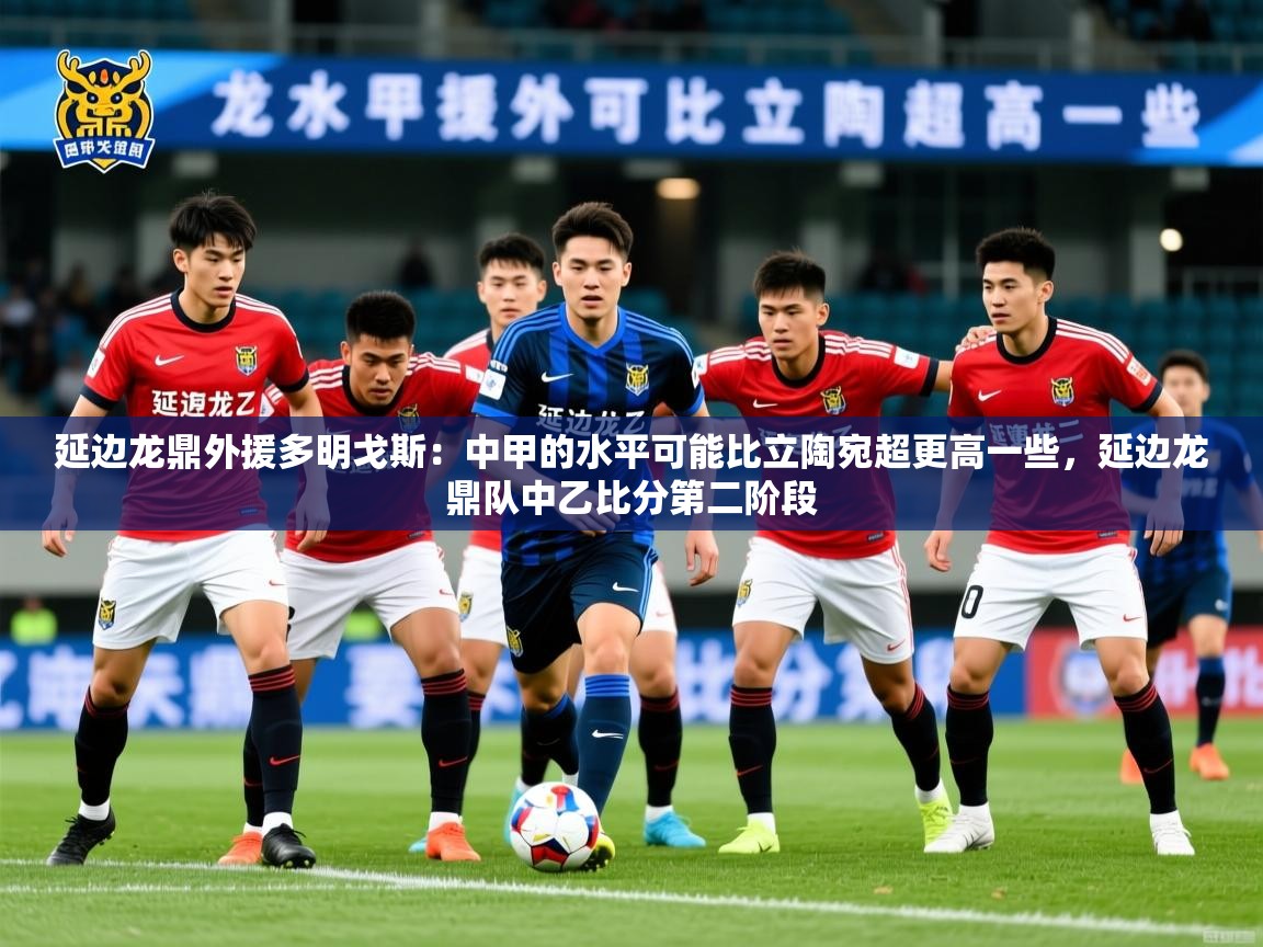 2025云开体育app官网入口网页版延边龙鼎外援多明戈斯：中甲的水平可能比立陶宛超更高一些，延边龙鼎队中乙比分第二阶段  第4张