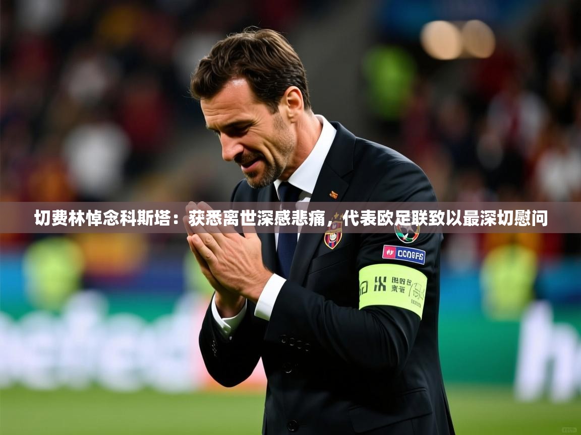 2025开云体育入口下载切费林悼念科斯塔：获悉离世深感悲痛，代表欧足联致以最深切慰问  第2张