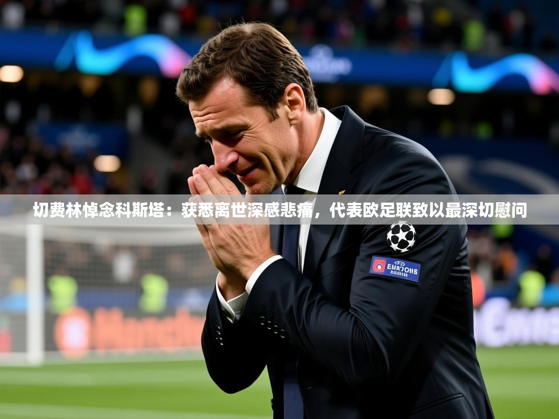 2025开云体育入口下载切费林悼念科斯塔：获悉离世深感悲痛，代表欧足联致以最深切慰问  第3张