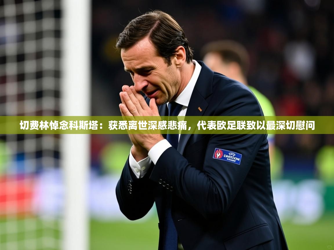 2025开云体育入口下载切费林悼念科斯塔：获悉离世深感悲痛，代表欧足联致以最深切慰问  第4张